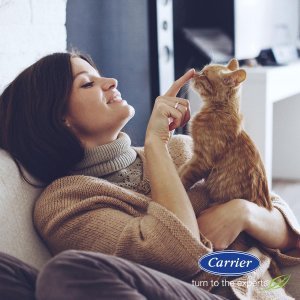 Stay warm and cozy with Carrier heating systems.
