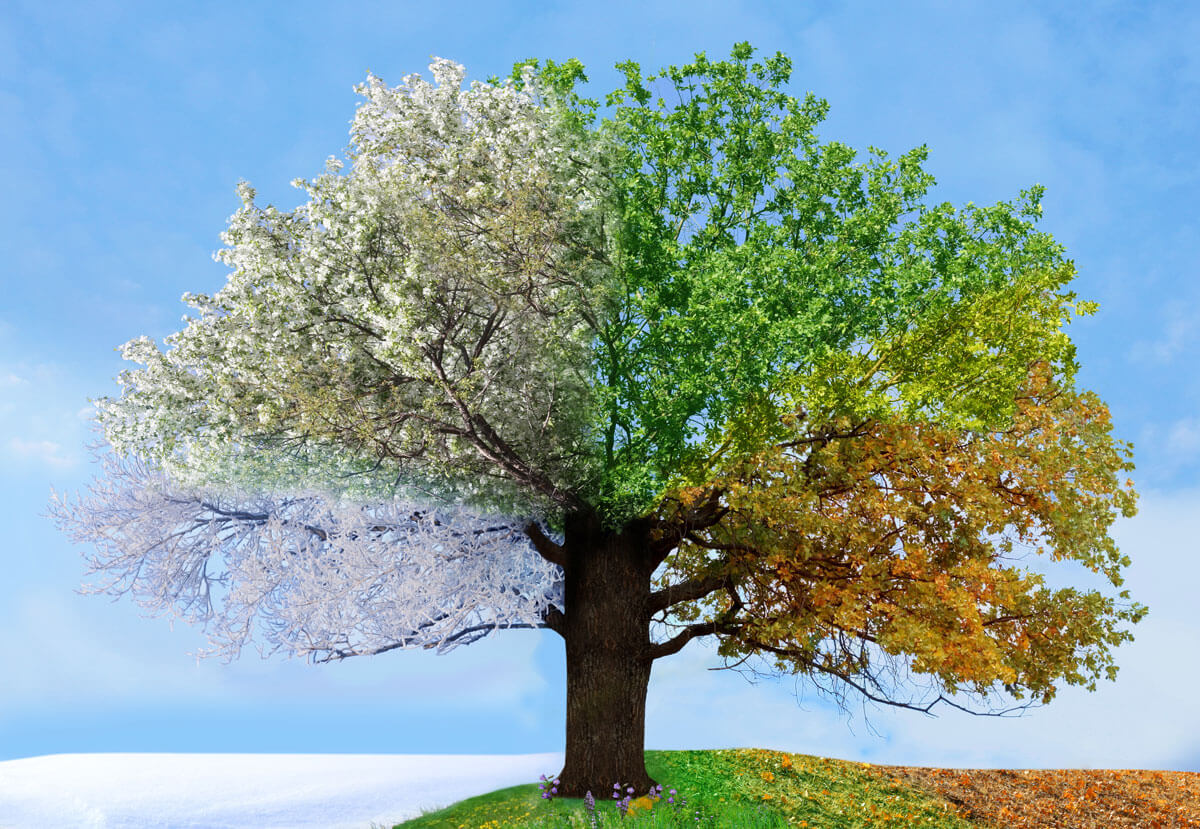 Keeping Up With The Seasons Keeping Up With The Seasons
